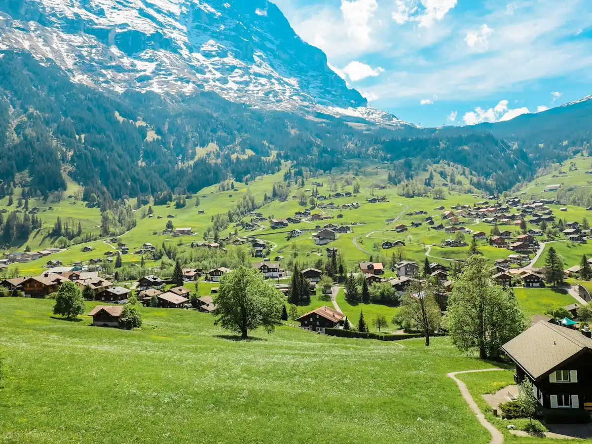 Green trees and green grass field near mountain during daytime — Grindelwald, Switzerland