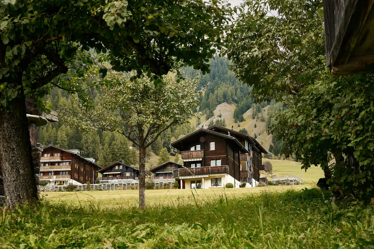 A large brown building sitting in the middle of a lush green field — Ritzingen, Valais, Switzerland
